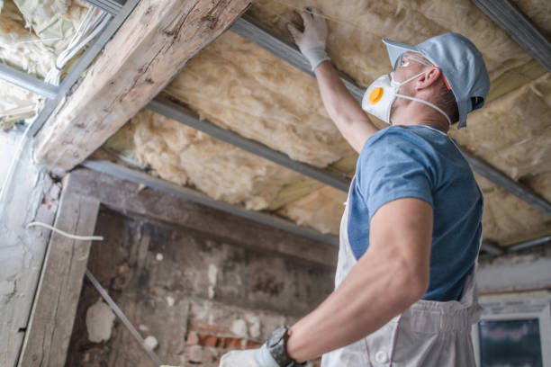 Professional Insulation Contractor in Peoria, IL
